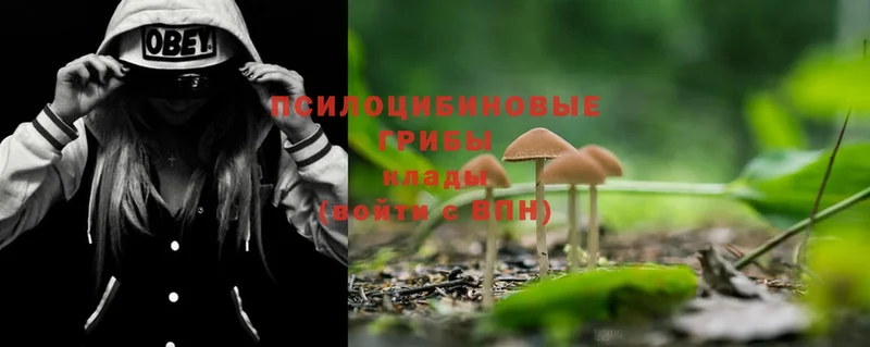 Галлюциногенные грибы MAGIC MUSHROOMS  дарнет шоп  Северодвинск 